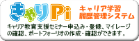 きゃりPi